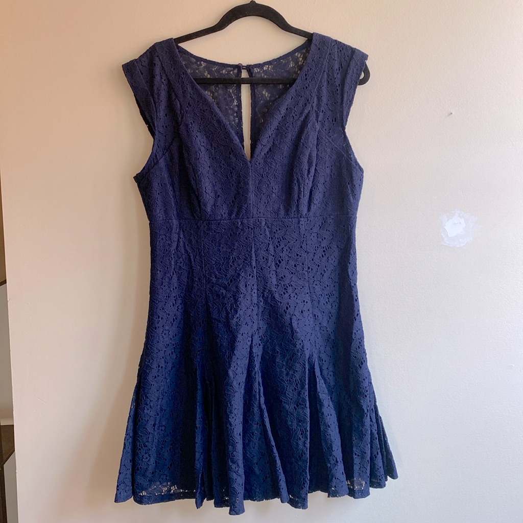 Petite Navy Blue Lace Knee Length Dress Brand Bisou Bisou